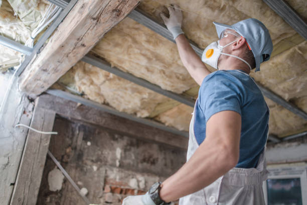 Best Commercial Insulation in West Salem, OH